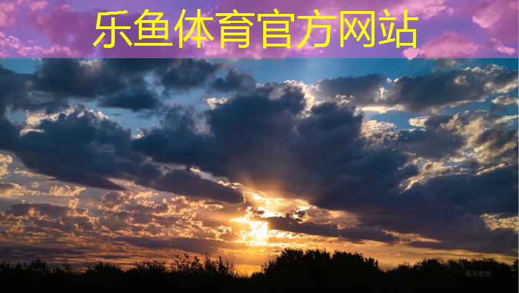 乐鱼体育,宿州公园塑胶跑道施工