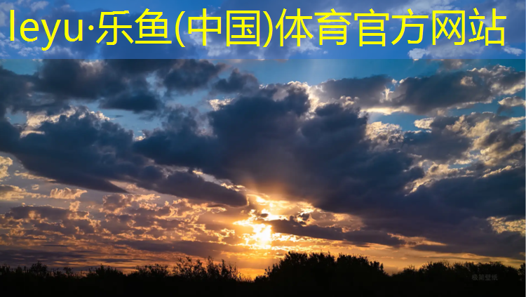 乐鱼体育官方网站,新乐自结纹塑胶跑道