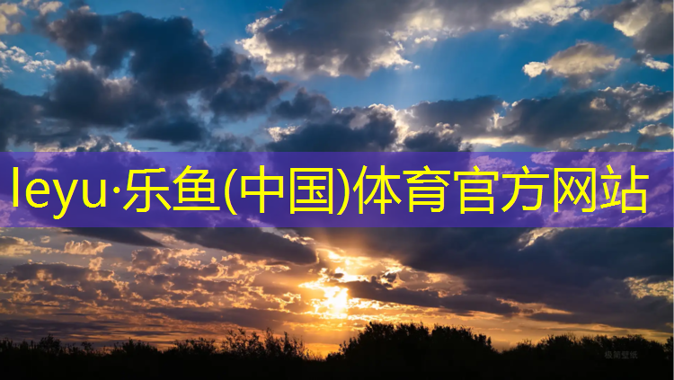 leyu·乐鱼(中国)体育官方网站,南坪小区塑胶跑道