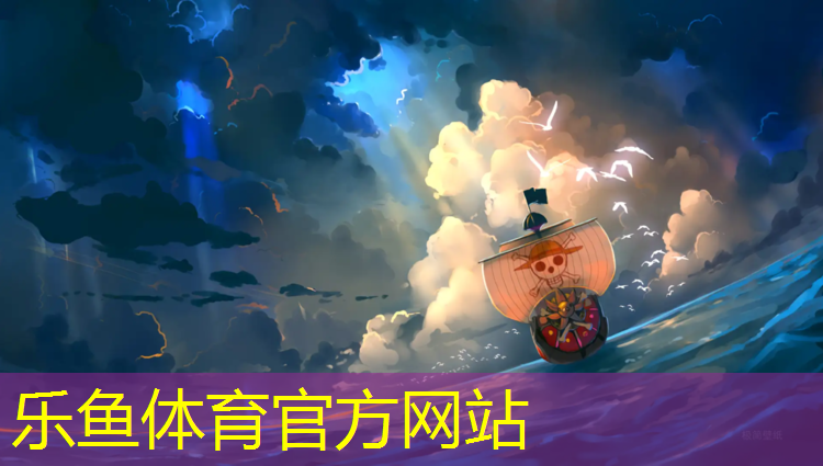网球网迪卡侬