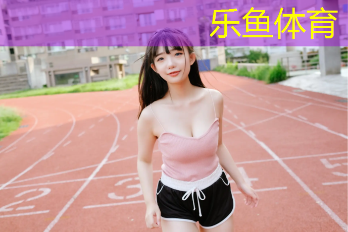 商洛网球网铺设