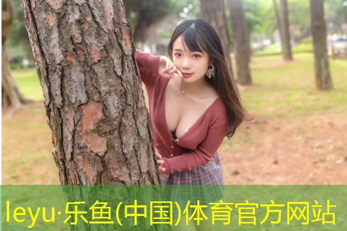 网球网子怎么装卸
