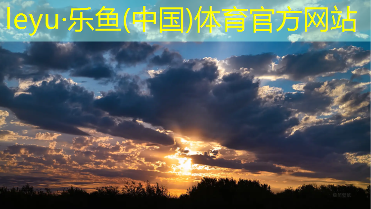 青海球场塑胶跑道定制